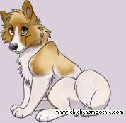 Pet