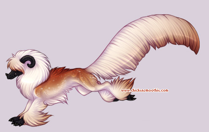 Pet