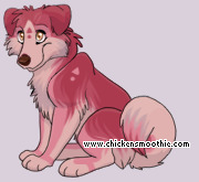 Pet