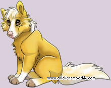 Pet