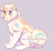 Pet
