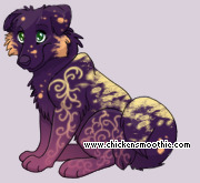 Pet
