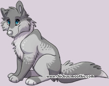 Pet