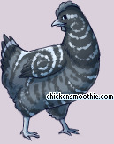 Pet