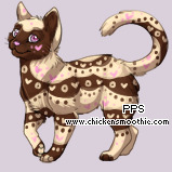 Pet