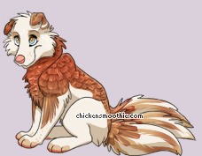 Pet