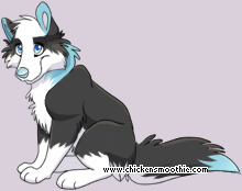 Pet