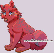Pet