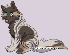 Pet