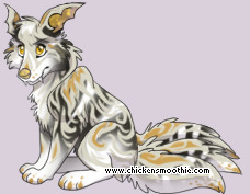 Pet