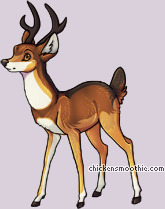 Pet