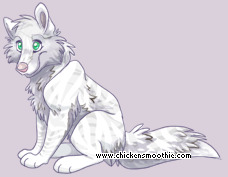 Pet