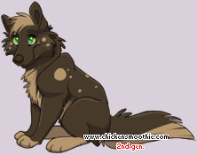 Pet
