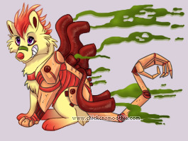 Pet