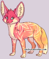 Pet