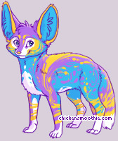 Pet