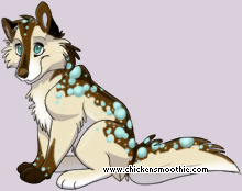 Pet