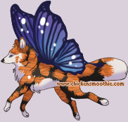 Pet