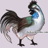 Pet