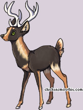 Pet