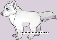 Pet