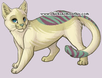 Pet