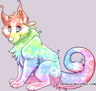 Pet