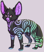 Pet