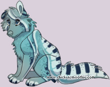Pet