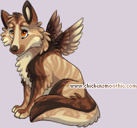 Pet