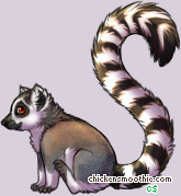 Pet