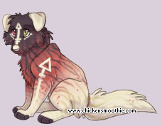 Pet