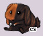 Pet