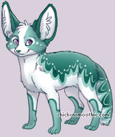 Pet