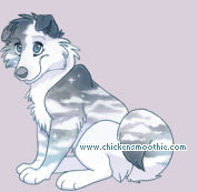 Pet