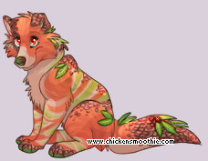 Pet
