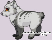 Pet