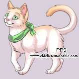 Pet