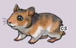 Pet