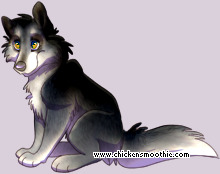 Pet