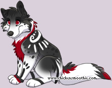 Pet