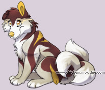 Pet