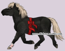 Pet