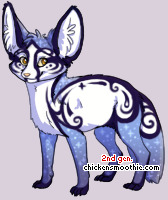 Pet