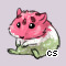 Pet