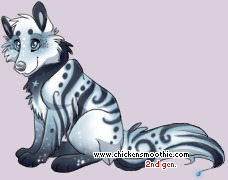Pet