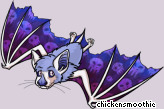 Pet
