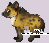 Pet