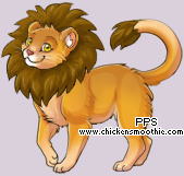 Pet