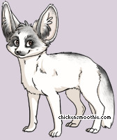 Pet